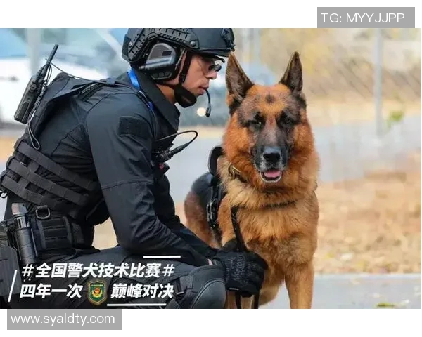 乌德勒之与泽尼特的激烈对决展现足球战术的巅峰对抗与精彩瞬间